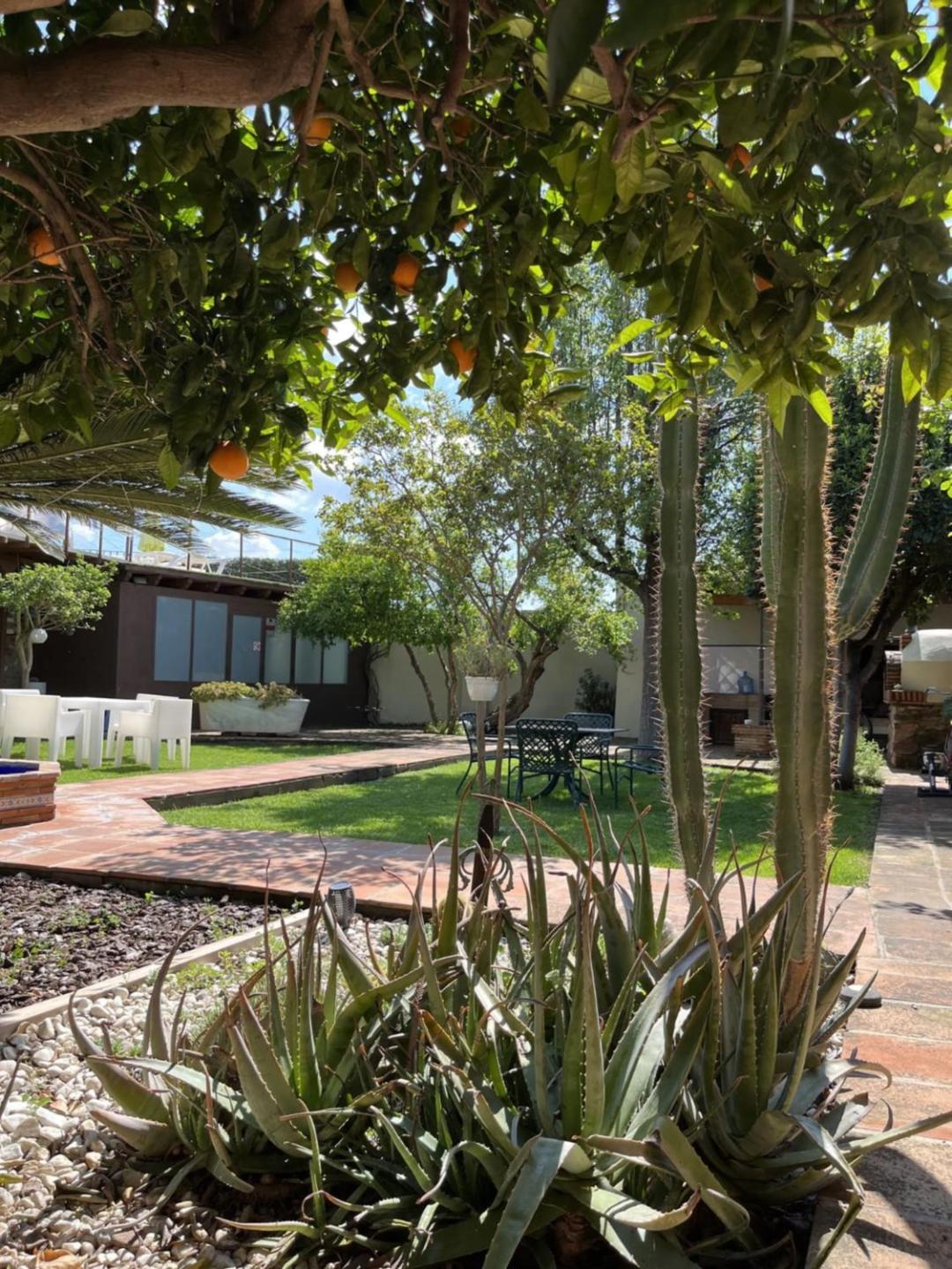 El Secanet Algimia de Alfara Exterior foto