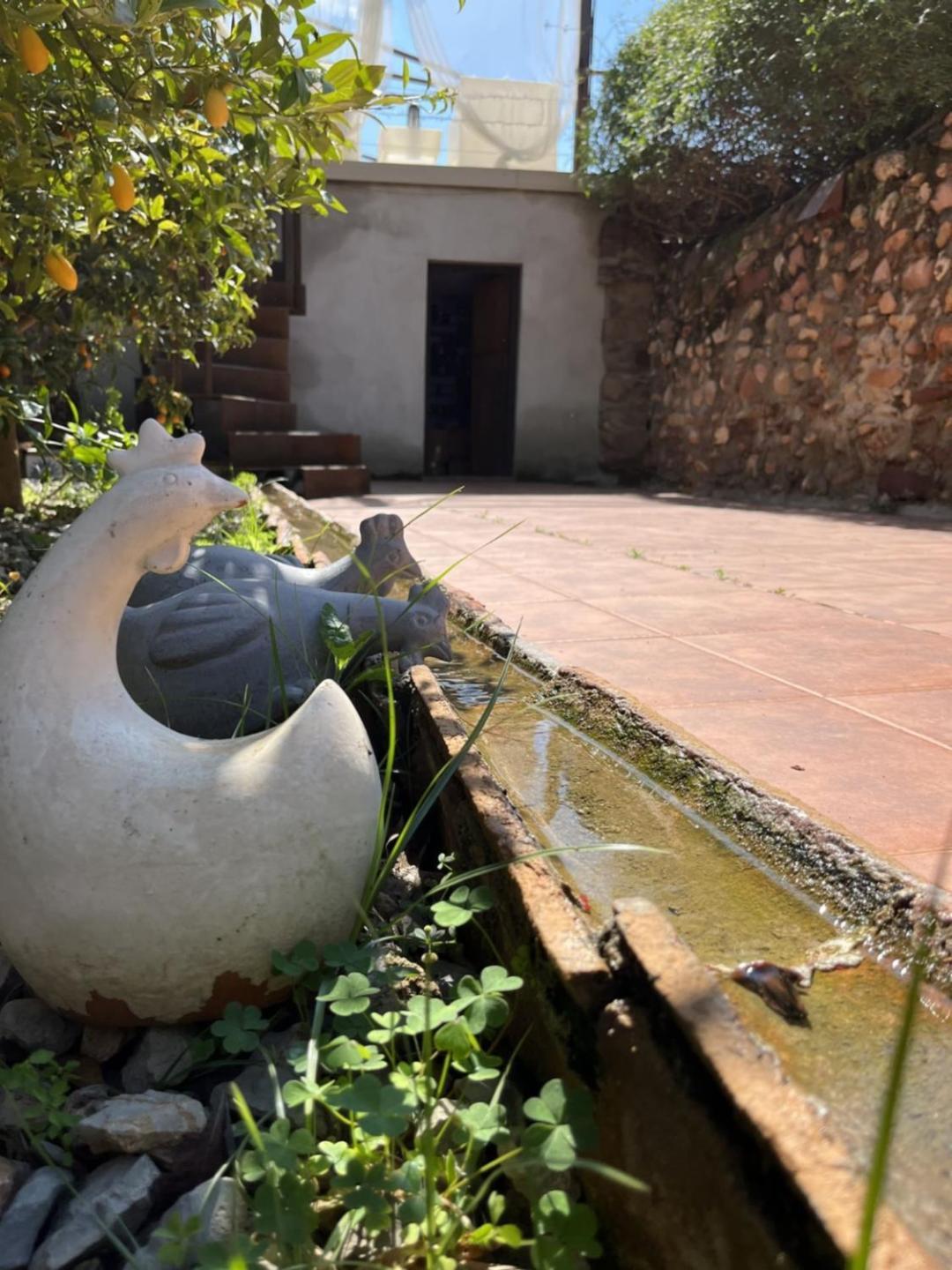 El Secanet Algimia de Alfara Exterior foto