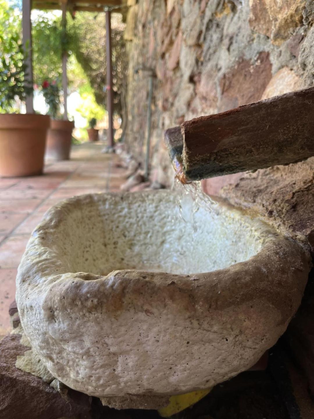 El Secanet Algimia de Alfara Exterior foto