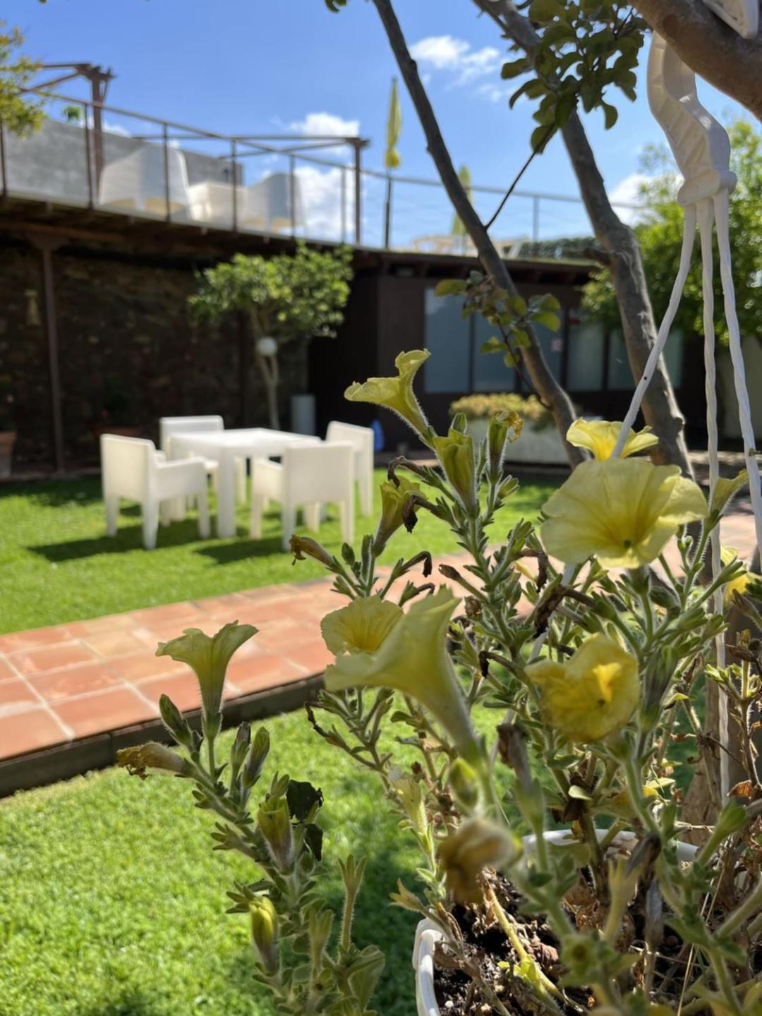El Secanet Algimia de Alfara Exterior foto